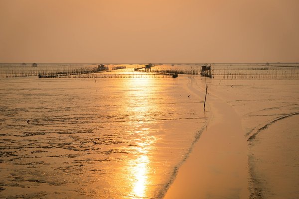Guide pour sélectionner l'île parfaite lors de votre séjour aux bahamas
