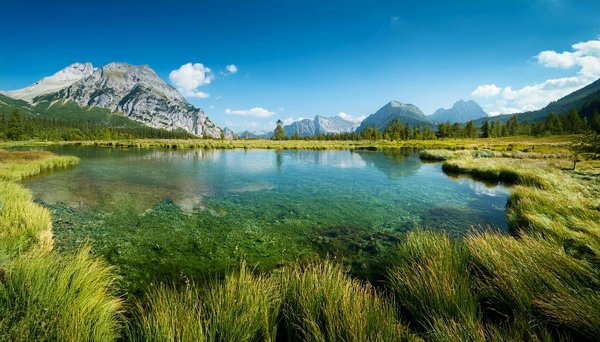 Les Tendances Immanquables pour un Voyage de Noces Inoubliable en 2023